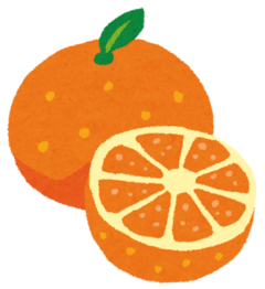 fruit_orange2_コピー