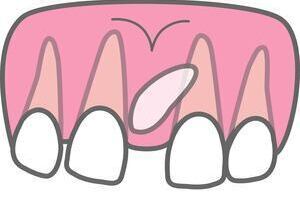 26225844_コピー_コピー