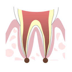 22842206_コピー_コピー