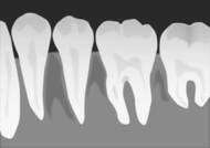 425563_コピー_コピー