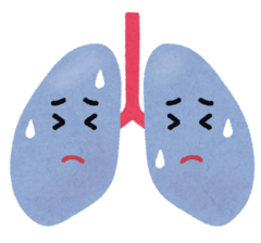 body_hai_bad_コピー