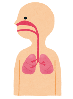 body_hai_jintai_コピー