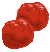 food_umeboshi_コピー