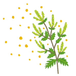 plant_butakusa_kafun_コピー
