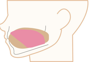 22528041_コピー_コピー