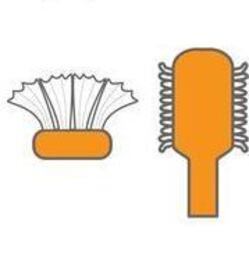 26325391_コピー_コピー_コピー